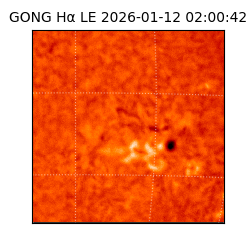 gong - 2026-01-12T02:00:42