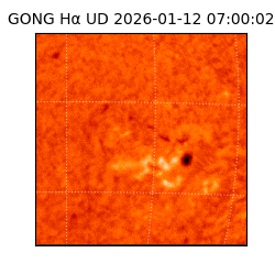 gong - 2026-01-12T07:00:02