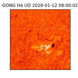 gong - 2026-01-12T08:00:02