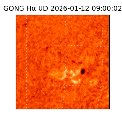 gong - 2026-01-12T09:00:02