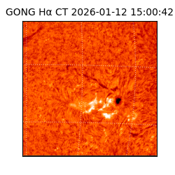 gong - 2026-01-12T15:00:42