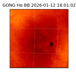 gong - 2026-01-12T16:01:02