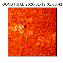 gong - 2026-01-12T01:00:42