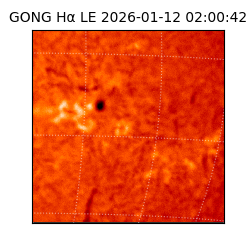 gong - 2026-01-12T02:00:42