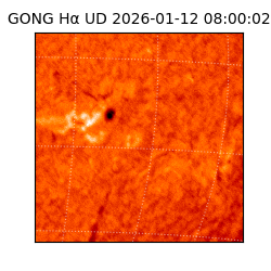 gong - 2026-01-12T08:00:02
