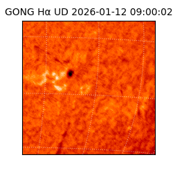 gong - 2026-01-12T09:00:02