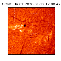 gong - 2026-01-12T12:00:42