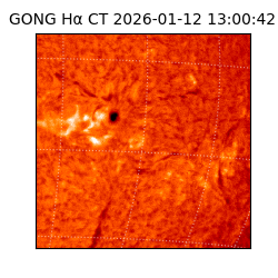 gong - 2026-01-12T13:00:42