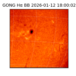 gong - 2026-01-12T18:00:02