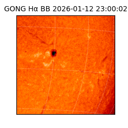 gong - 2026-01-12T23:00:02