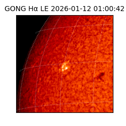 gong - 2026-01-12T01:00:42