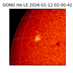 gong - 2026-01-12T02:00:42