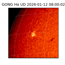 gong - 2026-01-12T08:00:02