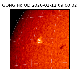gong - 2026-01-12T09:00:02