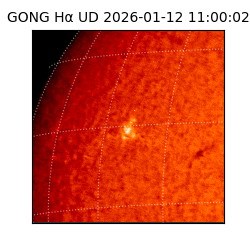 gong - 2026-01-12T11:00:02