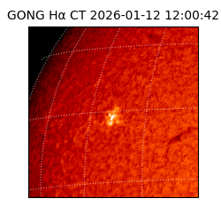 gong - 2026-01-12T12:00:42