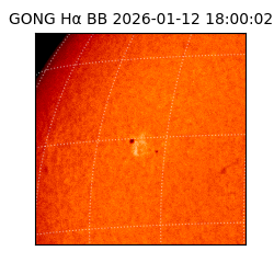 gong - 2026-01-12T18:00:02