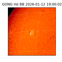 gong - 2026-01-12T19:00:02