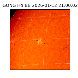 gong - 2026-01-12T21:00:02