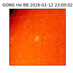 gong - 2026-01-12T23:00:02