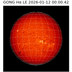 gong - 2026-01-12T00:00:42