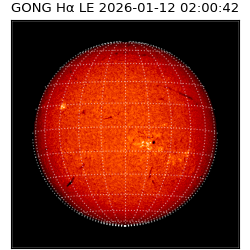 gong - 2026-01-12T02:00:42