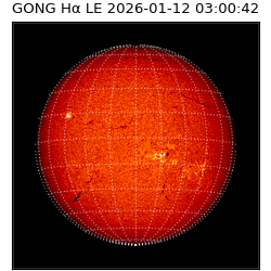 gong - 2026-01-12T03:00:42