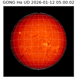 gong - 2026-01-12T05:00:02