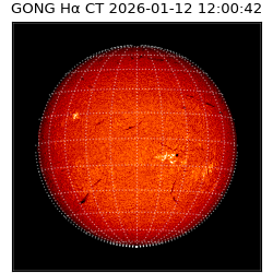 gong - 2026-01-12T12:00:42