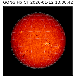 gong - 2026-01-12T13:00:42