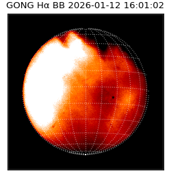 gong - 2026-01-12T16:01:02