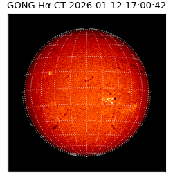 gong - 2026-01-12T17:00:42