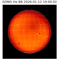 gong - 2026-01-12T19:00:02