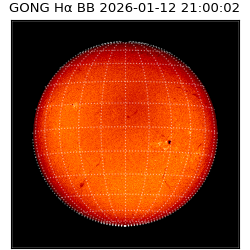 gong - 2026-01-12T21:00:02