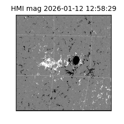 shmi - 2026-01-12T12:58:29.800000