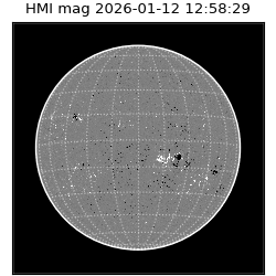 shmi - 2026-01-12T12:58:29.800000