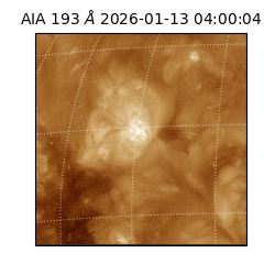 saia - 2026-01-13T04:00:04.830000