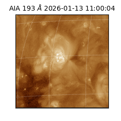 saia - 2026-01-13T11:00:04.840000