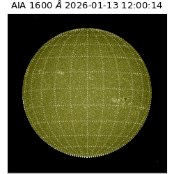 saia - 2026-01-13T12:00:14.130000