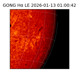 gong - 2026-01-13T01:00:42