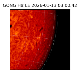 gong - 2026-01-13T03:00:42