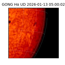 gong - 2026-01-13T05:00:02