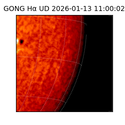 gong - 2026-01-13T11:00:02