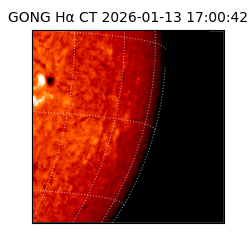gong - 2026-01-13T17:00:42