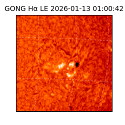 gong - 2026-01-13T01:00:42