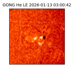 gong - 2026-01-13T03:00:42