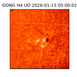 gong - 2026-01-13T05:00:02