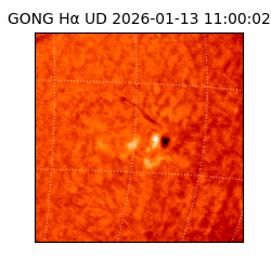 gong - 2026-01-13T11:00:02