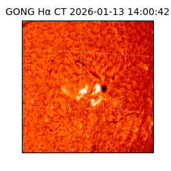 gong - 2026-01-13T14:00:42