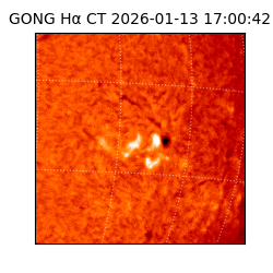 gong - 2026-01-13T17:00:42